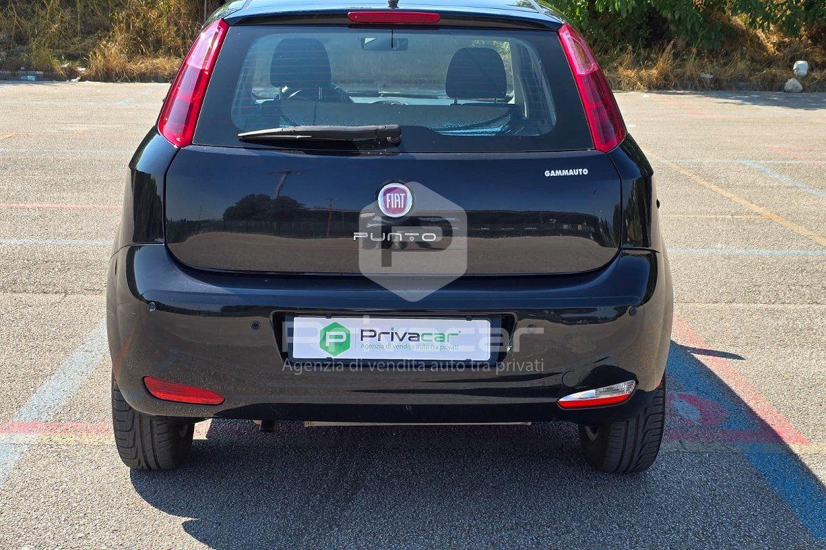 FIAT Punto 1.4 8V 5 porte Natural Power Lounge