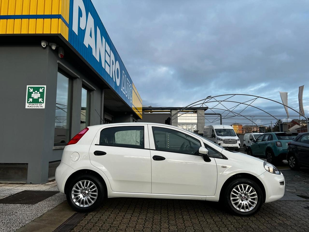 FIAT Punto 4ª serie Punto 1.4 8V 5 porte Easyp...