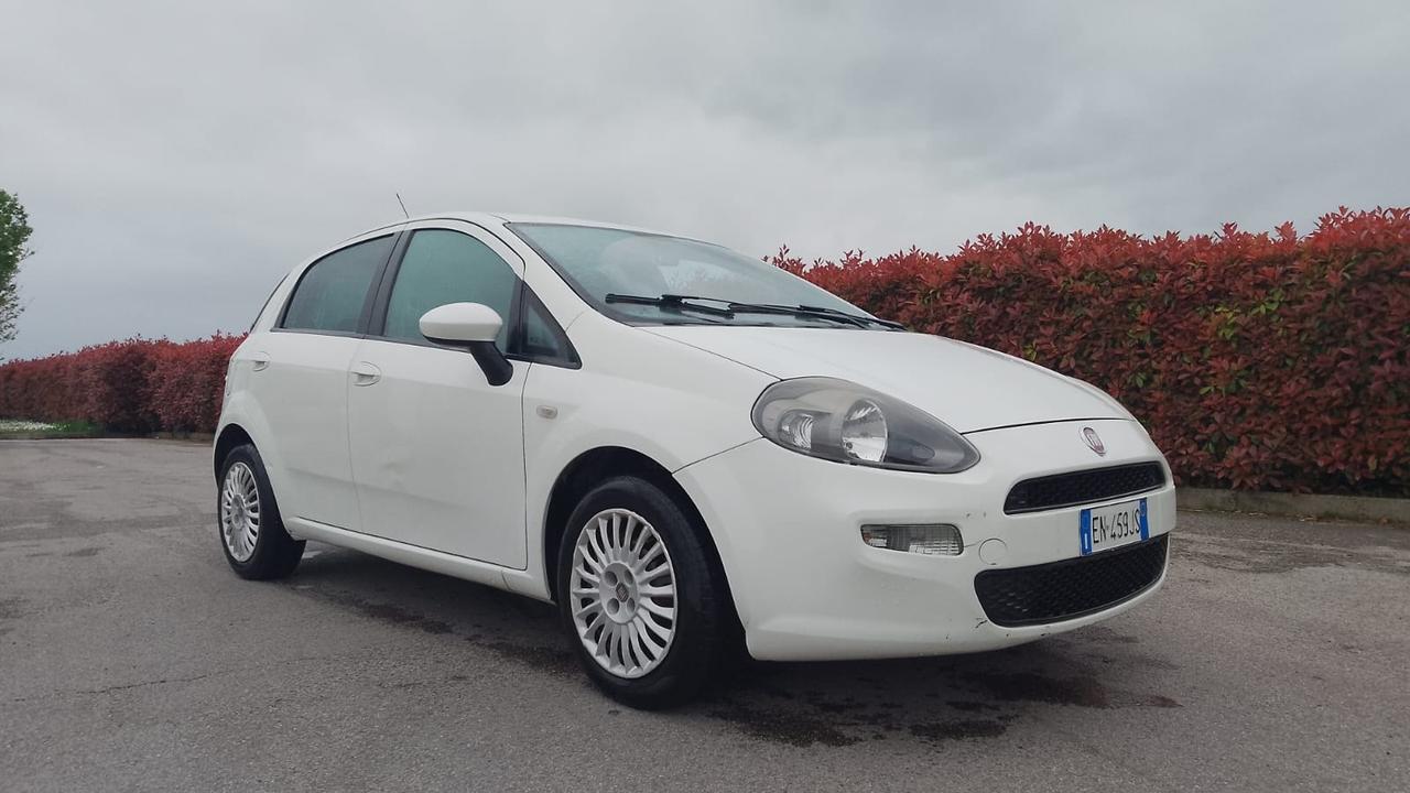 Fiat Punto 1.3 MJT 75CV 5 porte Van Easy 4 posti