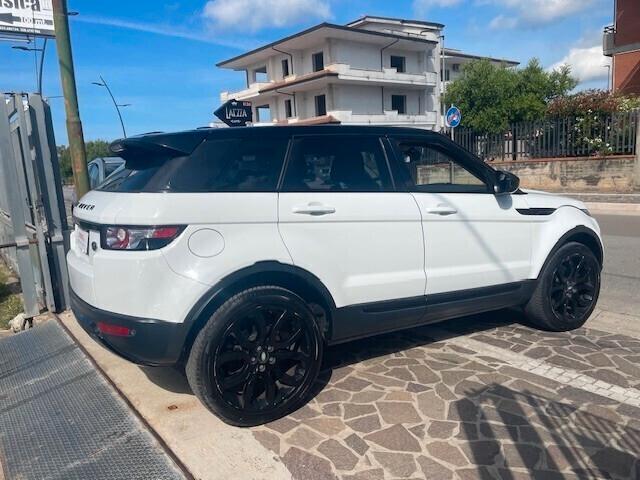 Land Rover Range Evoque 2.2 TD4 5p. Pure