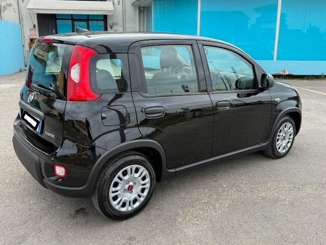 Fiat Panda aziendale iva esposta
