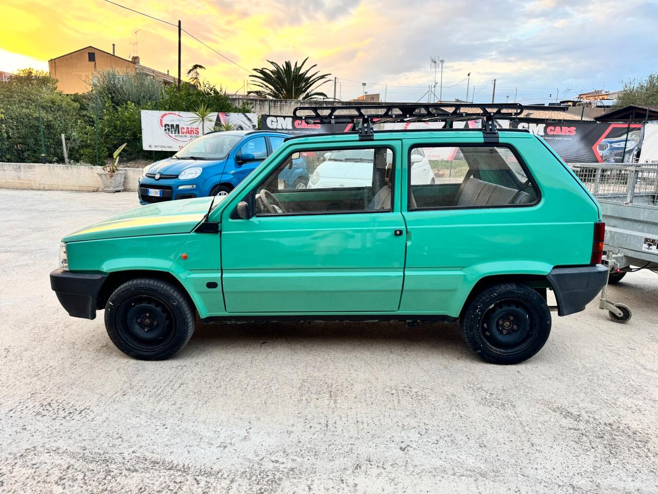 Fiat Panda 1100 i.e. cat Young
