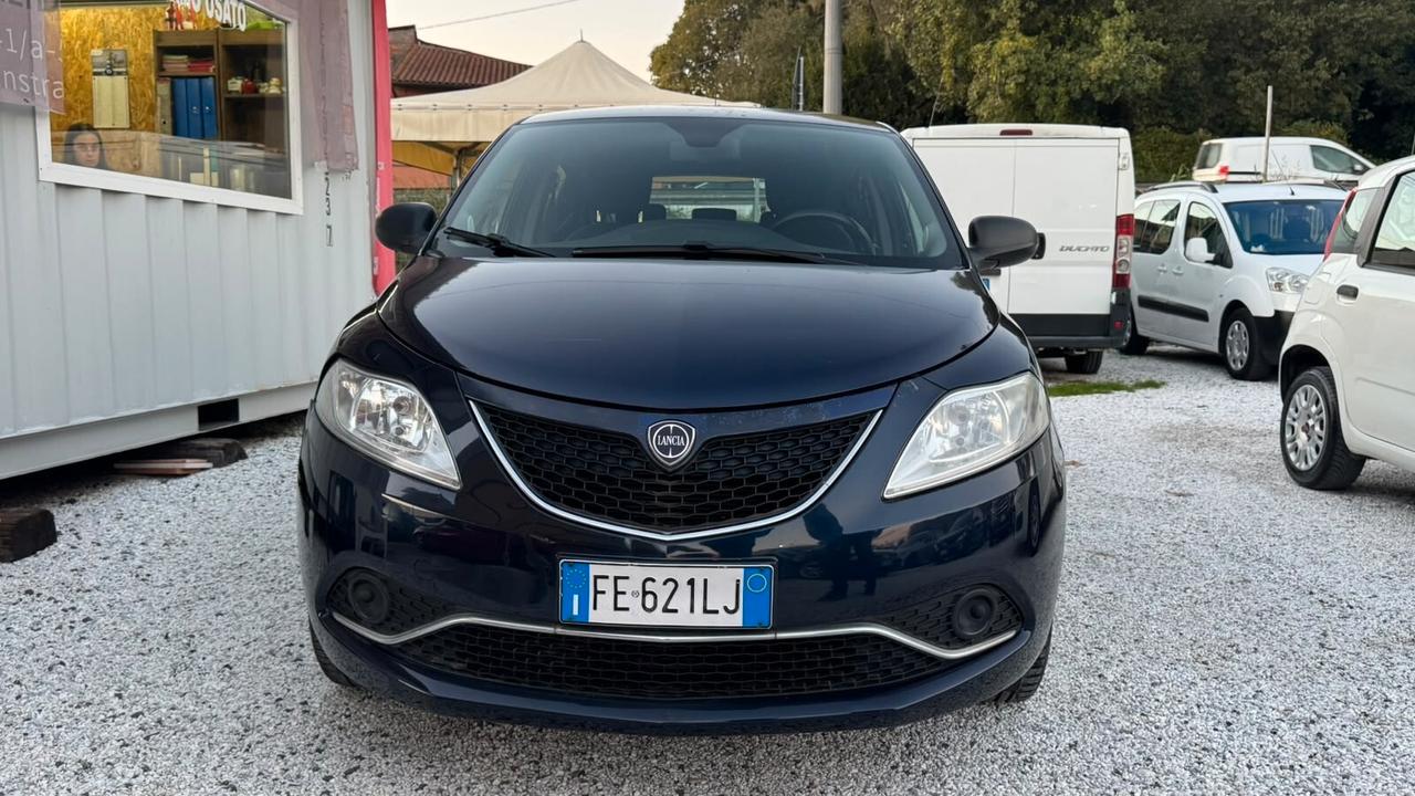Lancia Ypsilon 1.2 69 CV 5 porte Elefantino