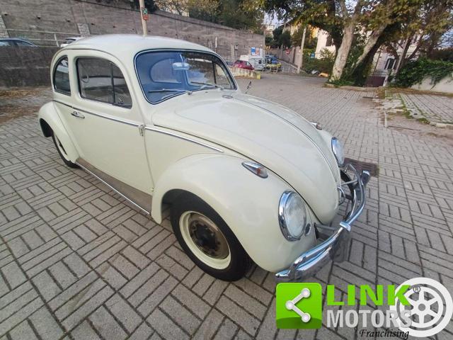 VOLKSWAGEN Maggiolino MY 63 in ordine di carrozzeria e meccanica