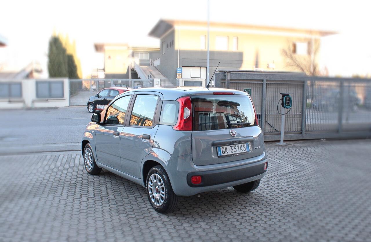 Fiat Panda 1.0 FireFly S&S Hybrid-OK NEOPATENTATI