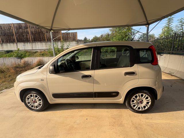 FIAT Panda 1.2 Easy BENZINA EURO 6 OK NEOPATENTATI