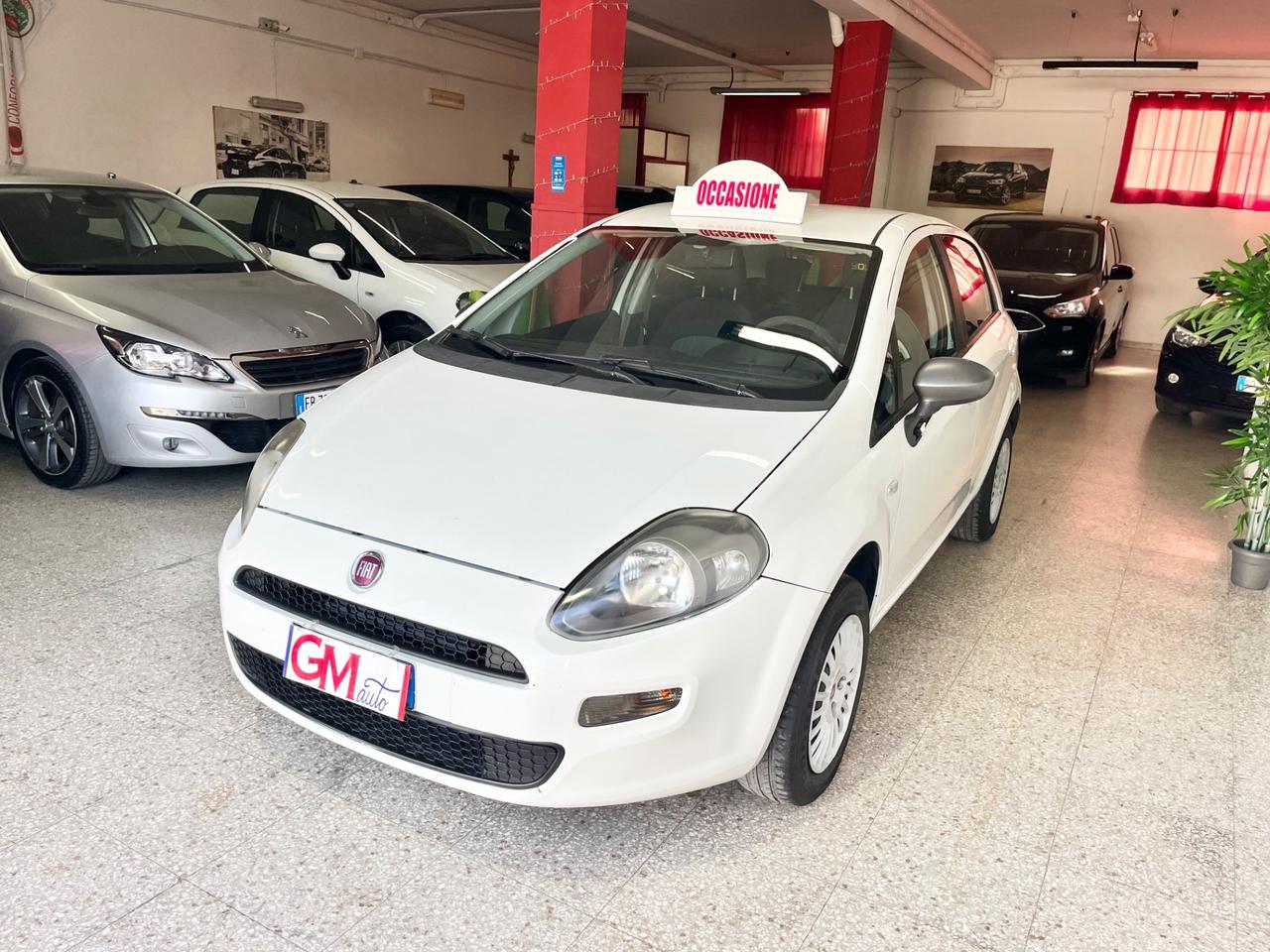 Fiat Punto 1.4 8V 5 porte Natural Power Street