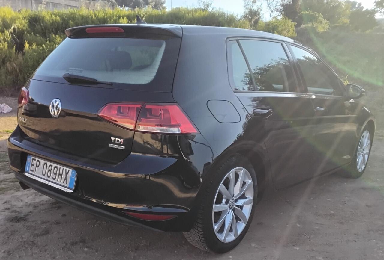 Volkswagen Golf 1.6 TDI DPF 5p. Highline