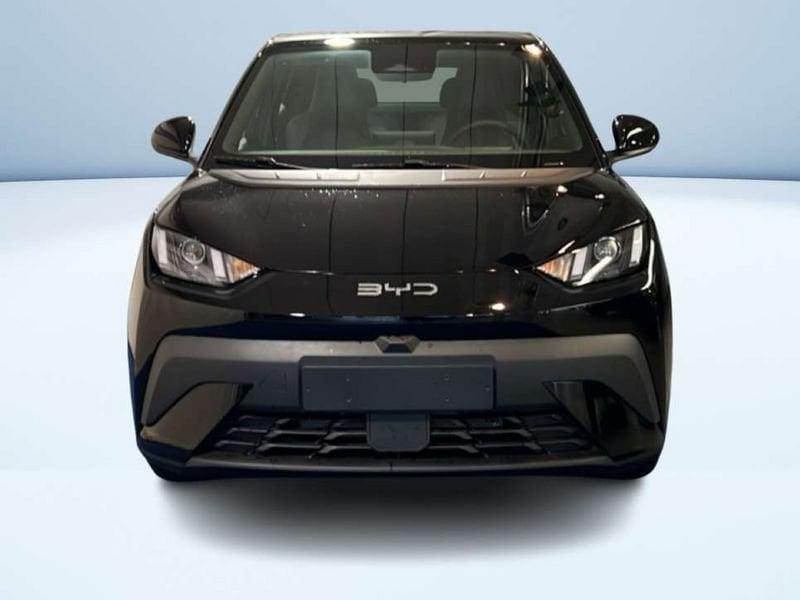 BYD Dolphin Surf Boost