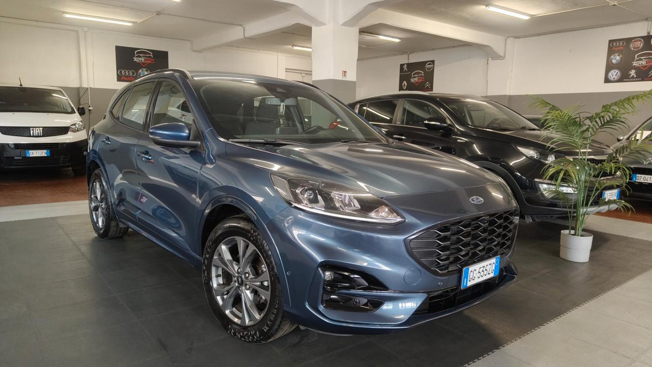 Ford Kuga 1.5 EcoBlue 120 CV aut. 2WD ST-Line X
