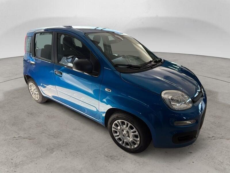 FIAT Panda NEW 1.0 70cv Hybrid Icon