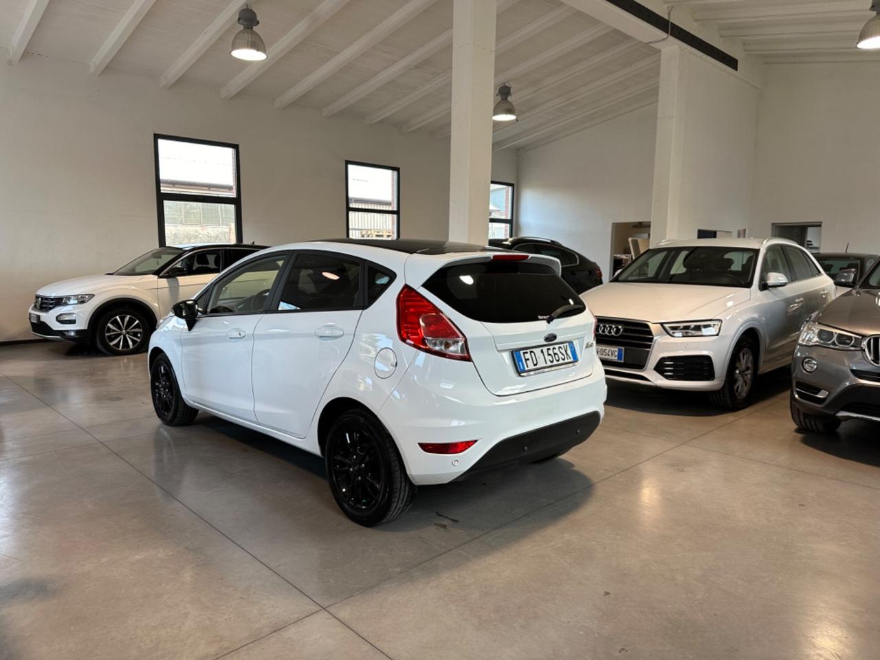 Ford Fiesta 1.4 5 porte Bz.- GPL Black & White Edition