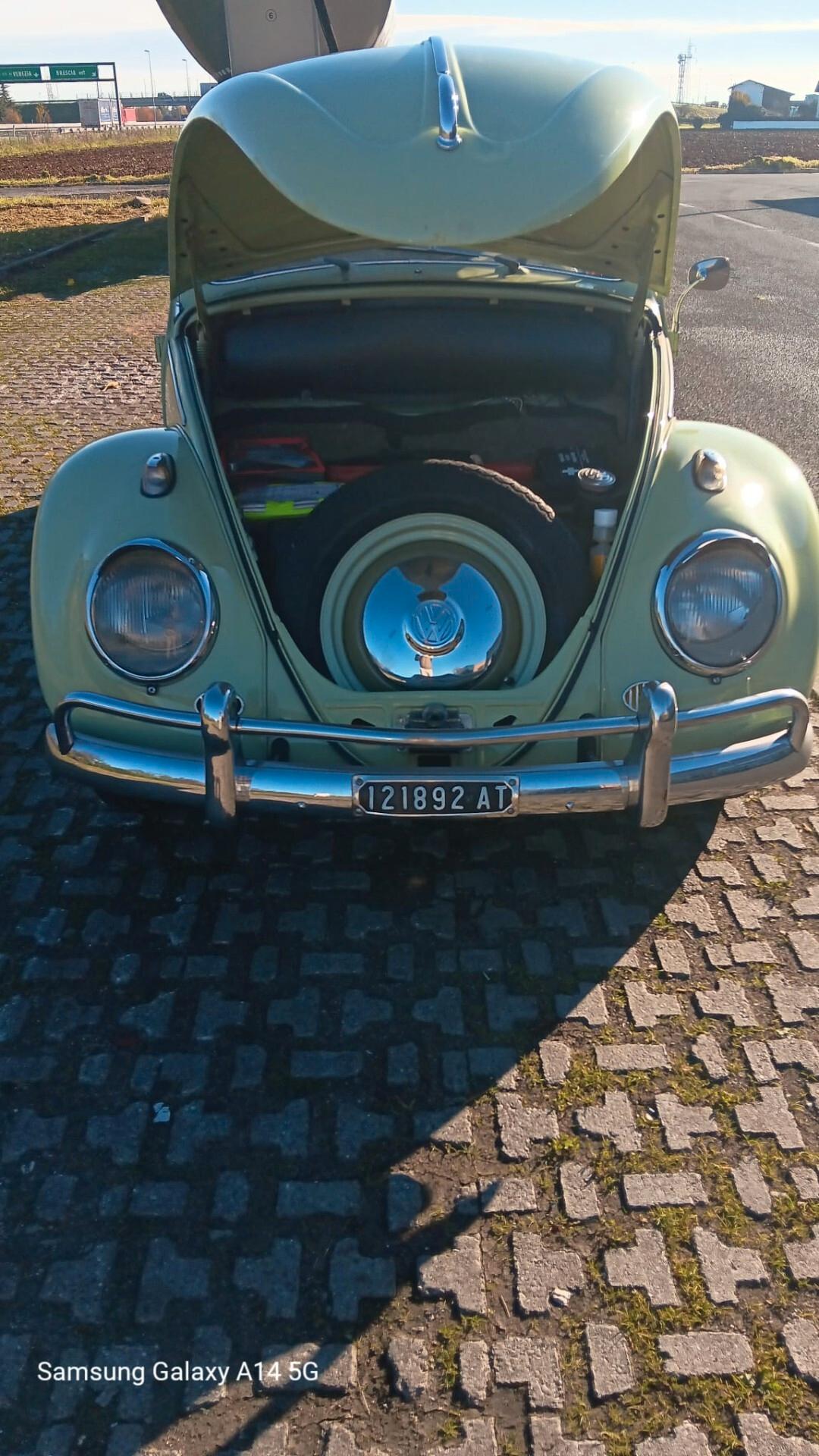 Volkswagen Maggiolino "Nasino"