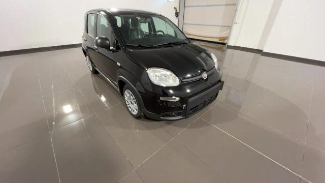 FIAT Panda 1.0 FireFly S&S Hybrid #VARI COLORI