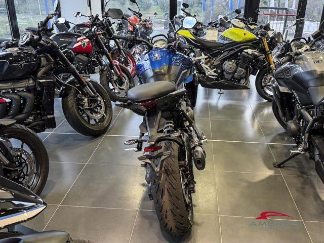 TRIUMPH Tiger Sport 800