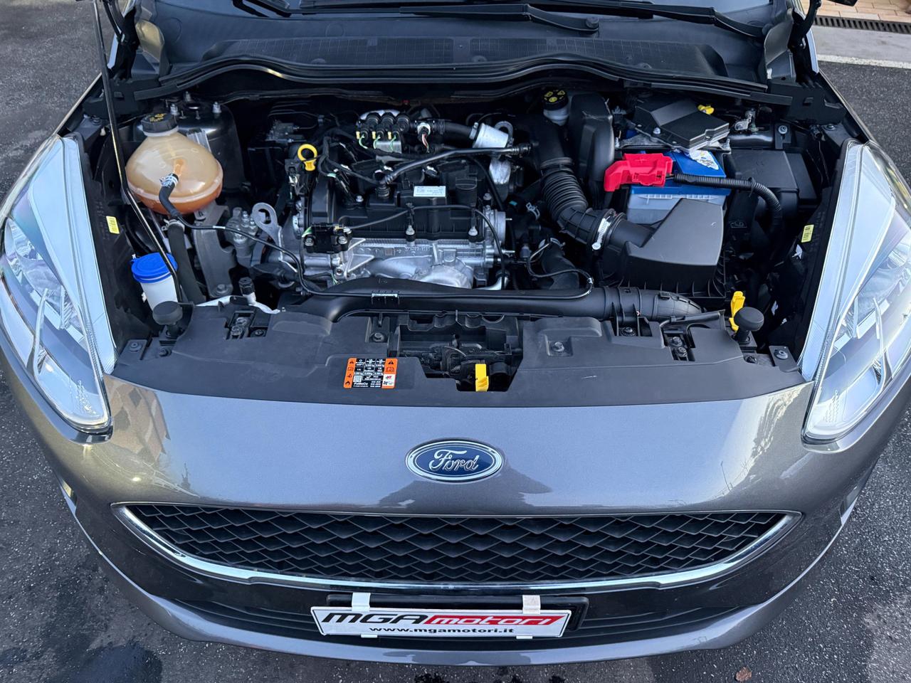 Ford Fiesta 5 Porte Fiesta 5p 1.1 Plus Gpl 75cv