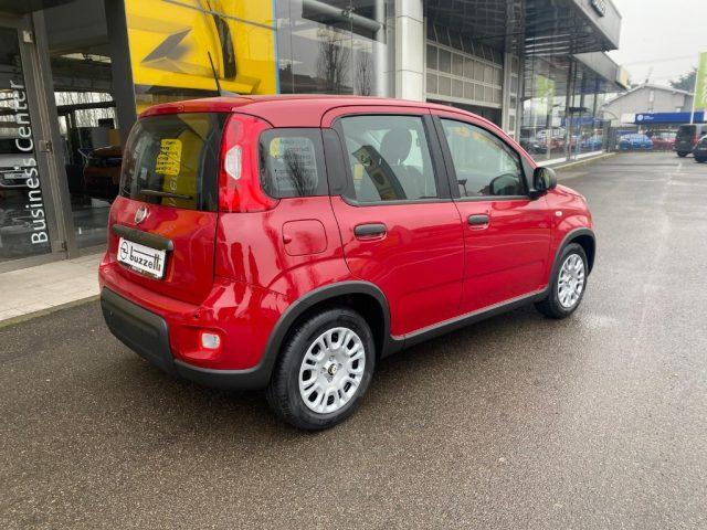 FIAT Panda 1.0 FireFly S&S Hybrid Pandina