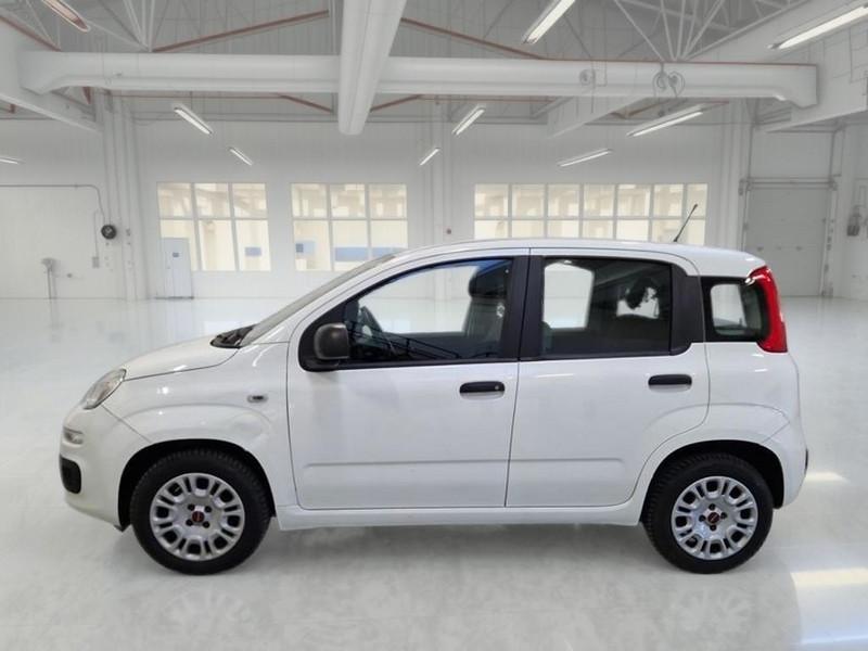 FIAT PANDA 1.2 69 CV SES E6D-TEMP EASY 5 PORTE BERLINA