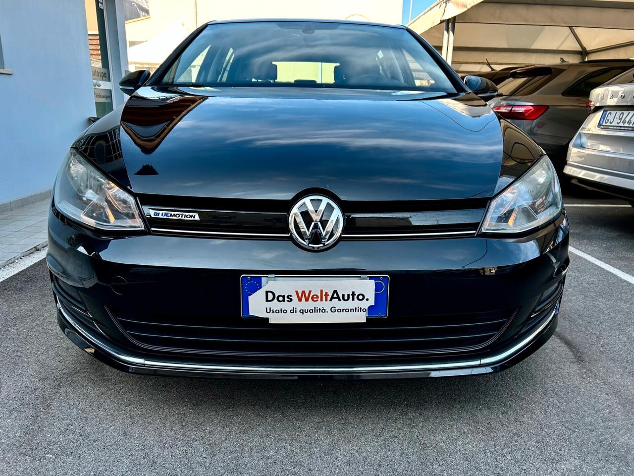 Volkswagen Golf 1.4TGI 5p Highline BlueMotion 2015