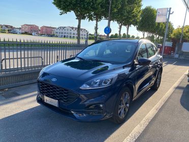 Ford Kuga 2.0 EcoBlue 120 CV aut. 2WD ST-Line - KM 27.000