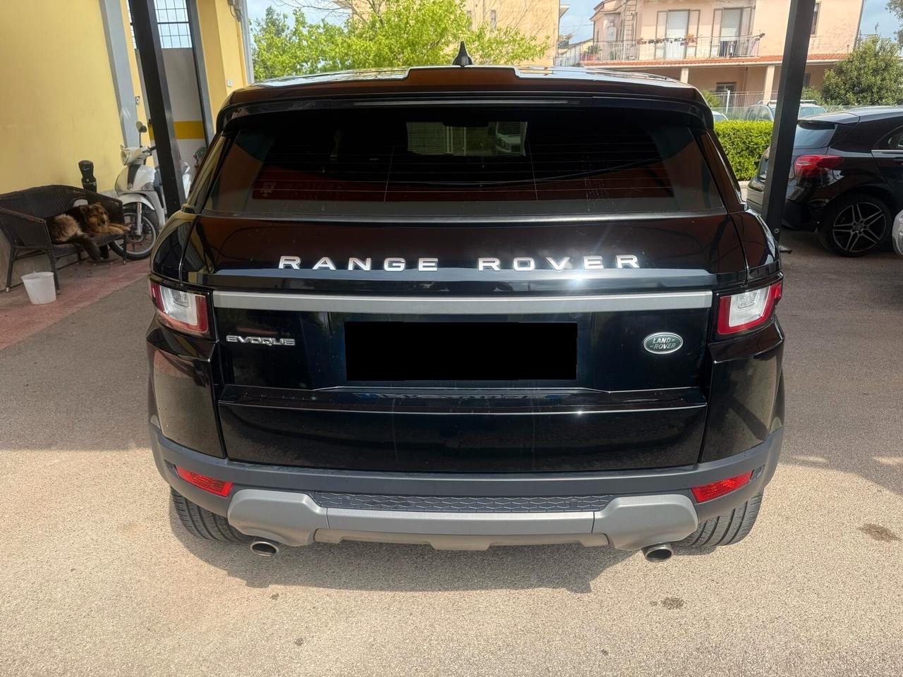 Land Rover Range Rover Evoque Range Rover Evoque 2.0 eD4 5p. Pure