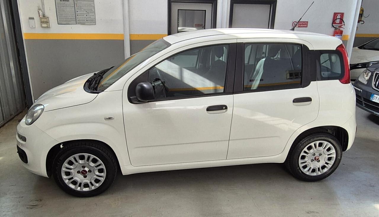 Fiat Panda 1.2 Easy 2019 Unico Proprietario