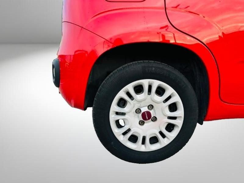 FIAT Panda Panda 1.2 Connected by Wind