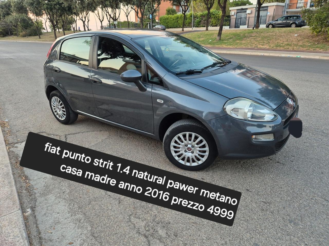 Autovetture disponibili