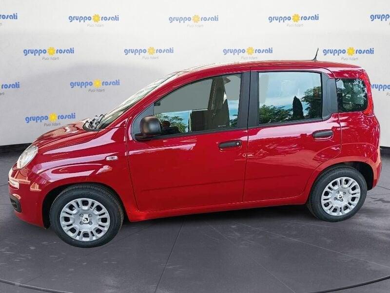 FIAT Panda 3ª serie 1.0 FireFly S&S Hybrid