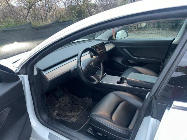 TESLA Model 3 Standard RWD Plus