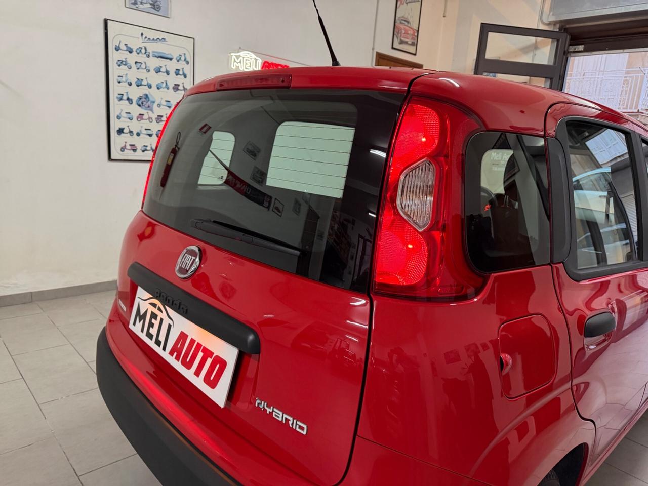 Fiat Panda 1.0 FireFly S&S Hybrid/Benzina