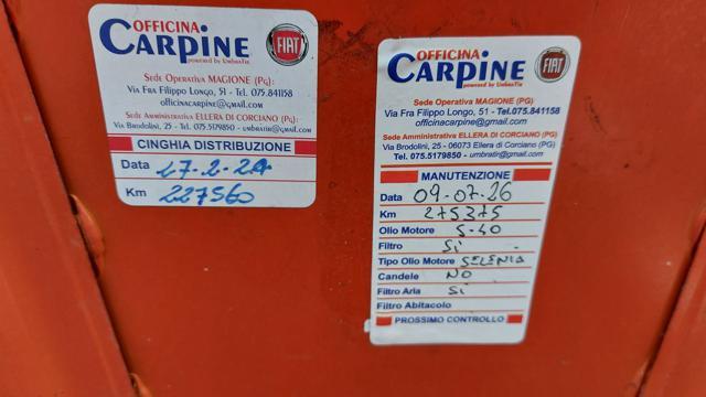 FIAT Punto 1.4 8V 5 porte Natural Power Young