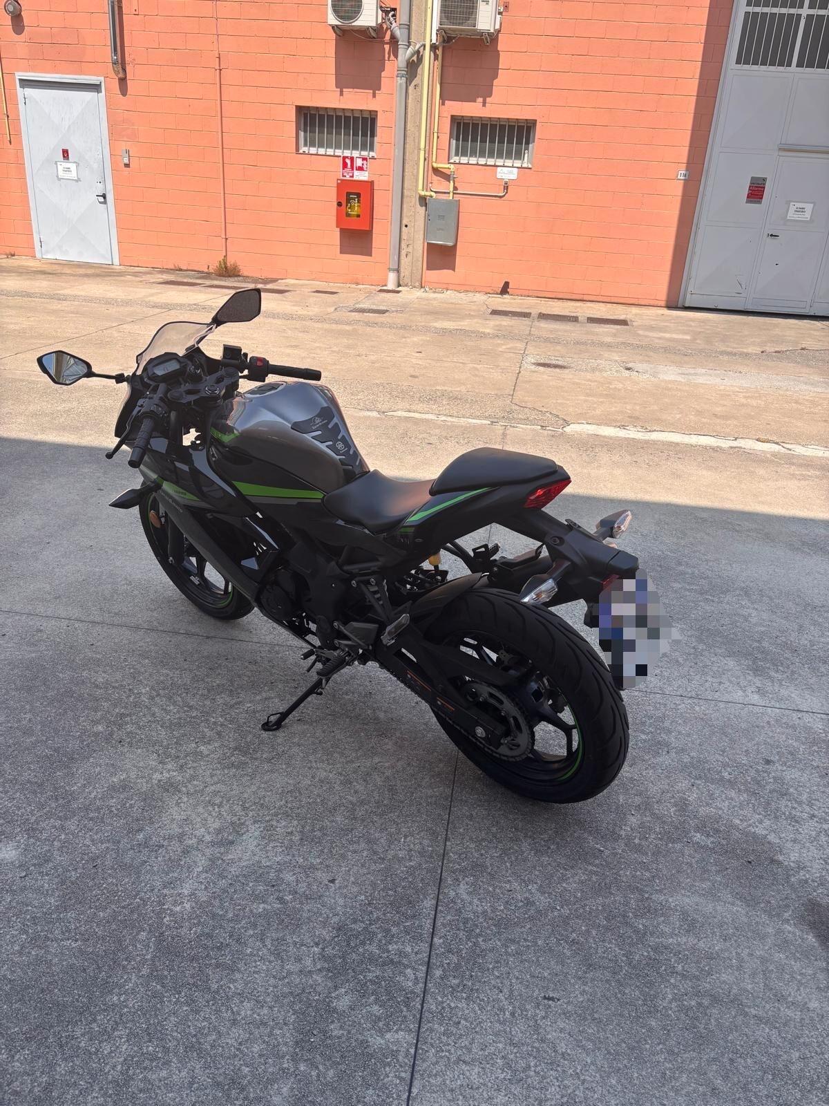 Kawasaki Ninja 125 Performance