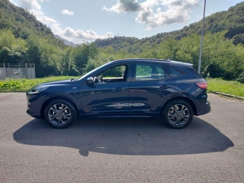 Ford Kuga Kuga 1.5 EcoBlue 120 CV 2WD ST-Line