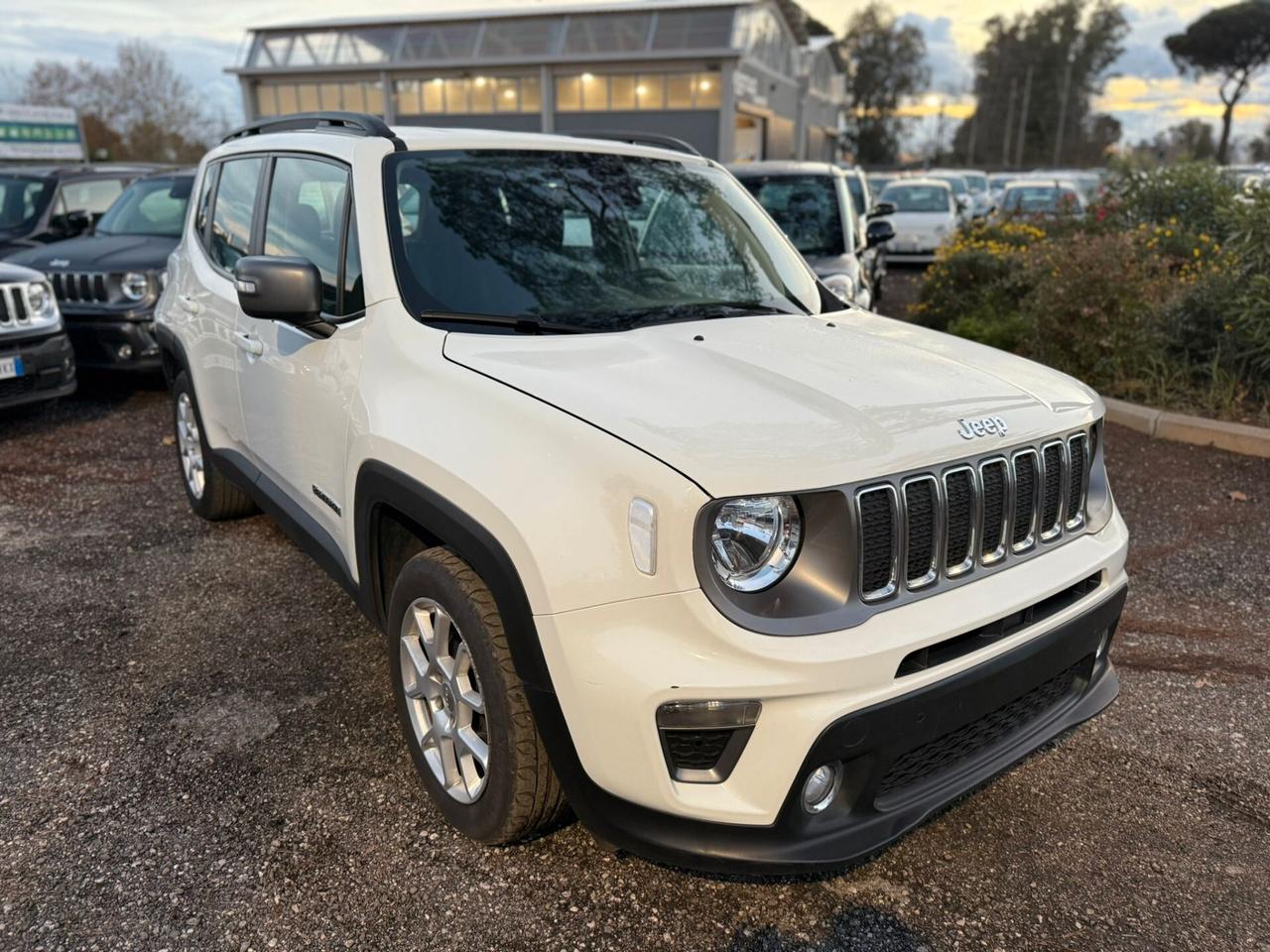 Jeep Renegade 1.6 Mjt 130 CV Limited