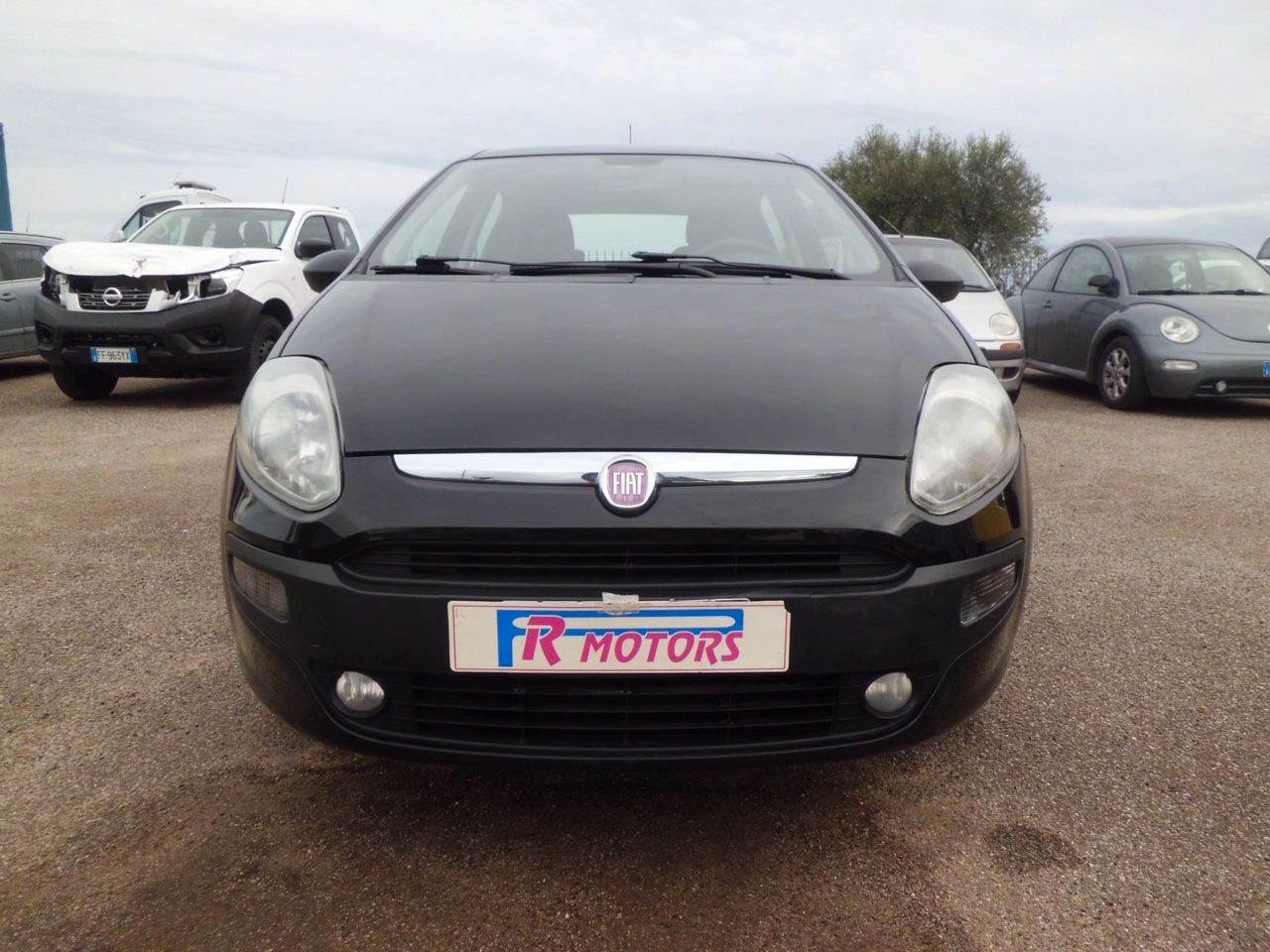 Fiat Punto Evo Punto Evo 1.2 5 porte Dynamic