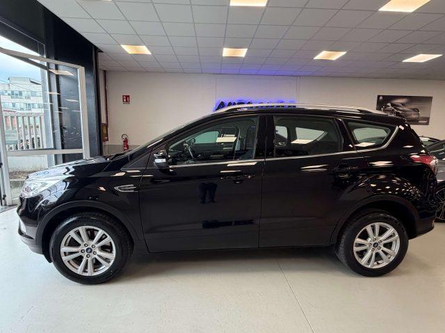 FORD Kuga Kuga II 2019 2.0 tdci Business s automatico