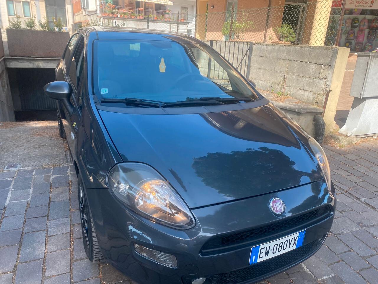 Fiat Punto 1.3 MJT II 75 CV 5 porte Young