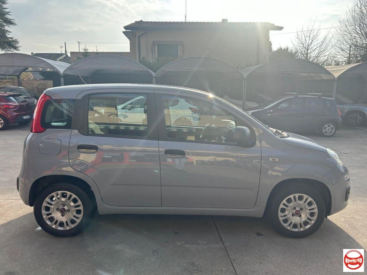 FIAT - Panda 1.2 Easy easypower Gpl 69cv my19