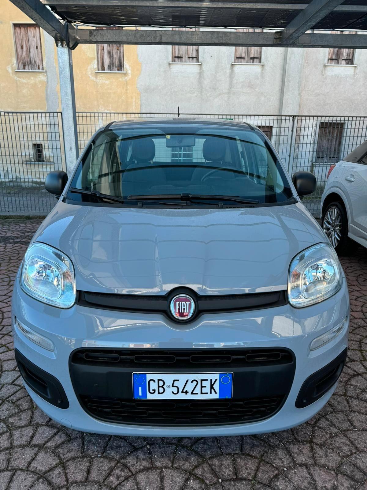 Fiat Panda 1.2 Easy 69CV *** OK NEOPATENTATI ***