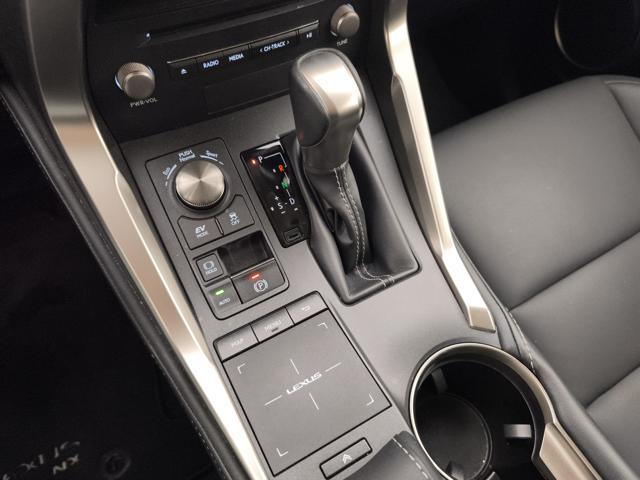 LEXUS NX 300h 300h 2.5 Premium 4wd cvt