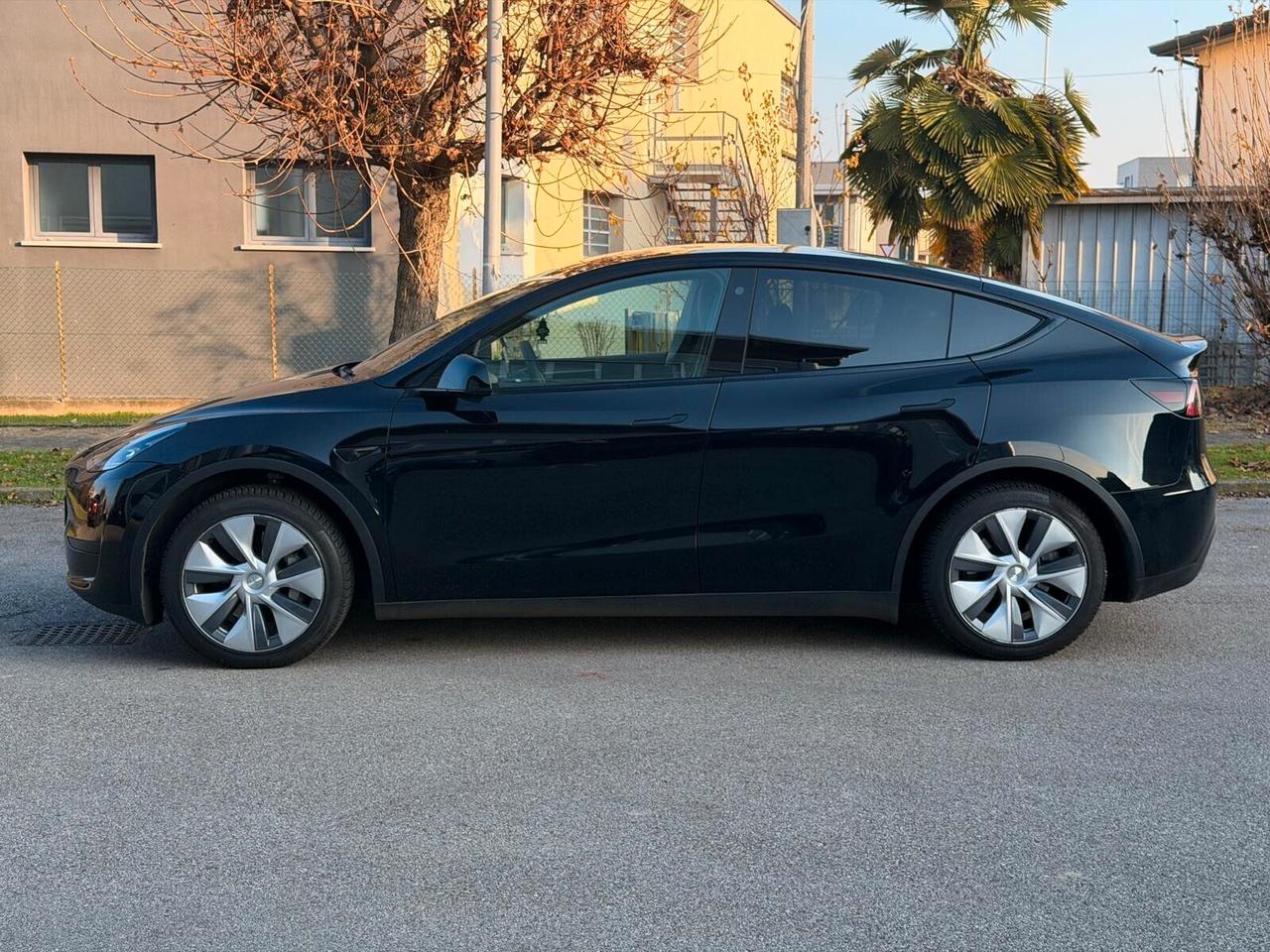 Tesla Model Y RWD