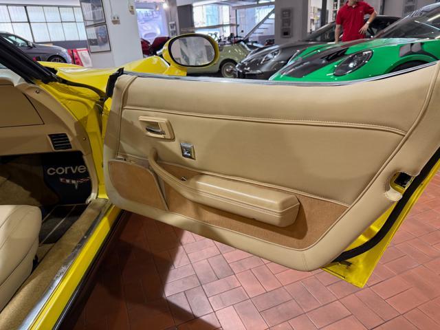 CORVETTE C3 L82 - "Mako Shark" -Restauro conservativo
