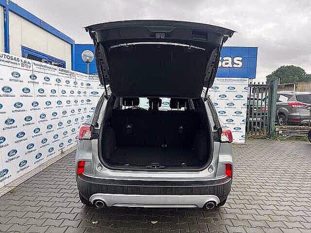 FORD Kuga 1.5 EcoBlue 120 CV 2WD Titanium del 2020