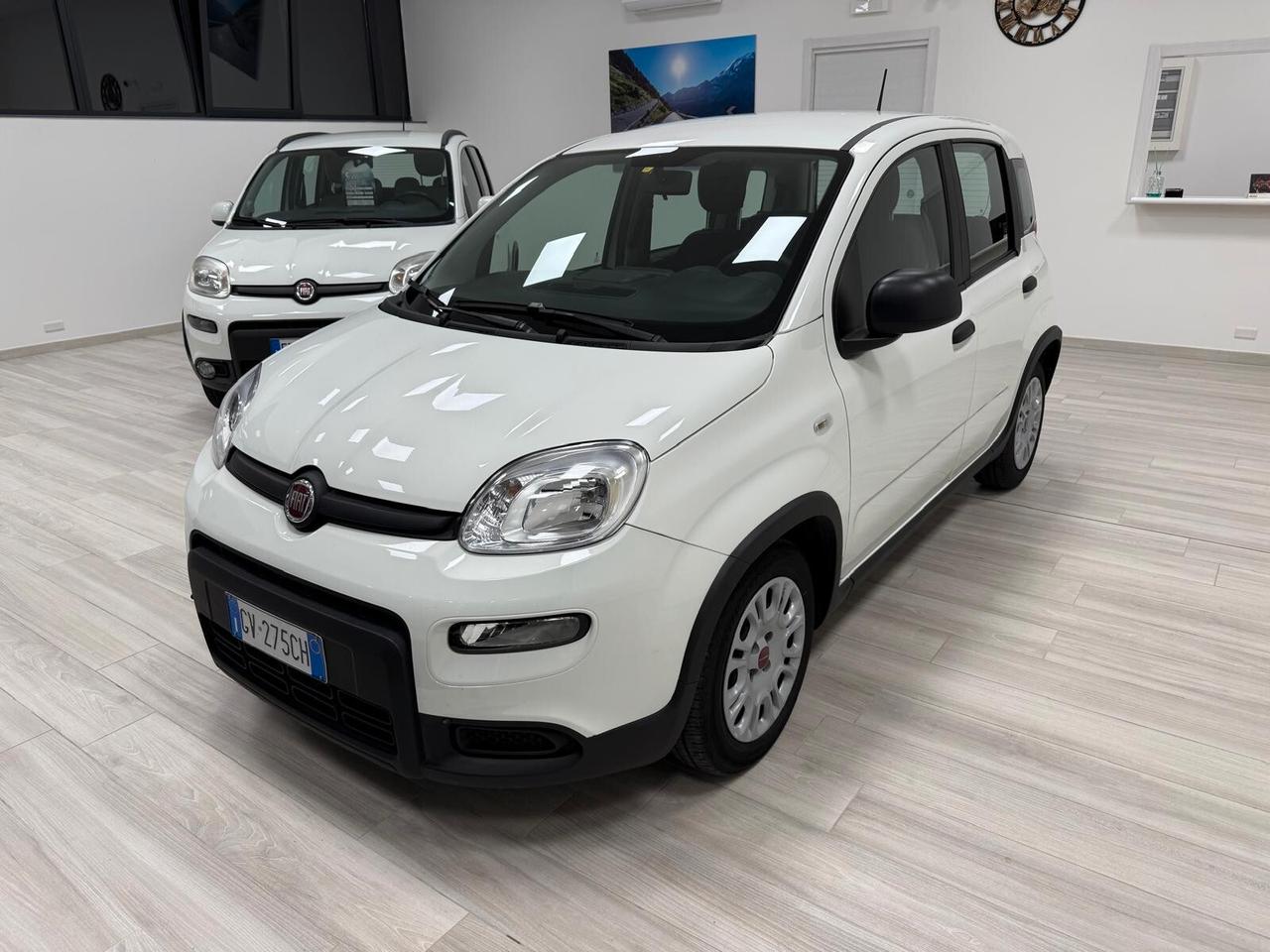Fiat Panda FyreFly Hybrid S&S