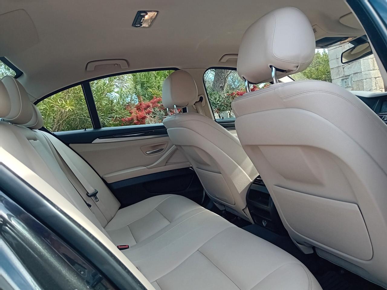 Bmw 520 520d Luxury