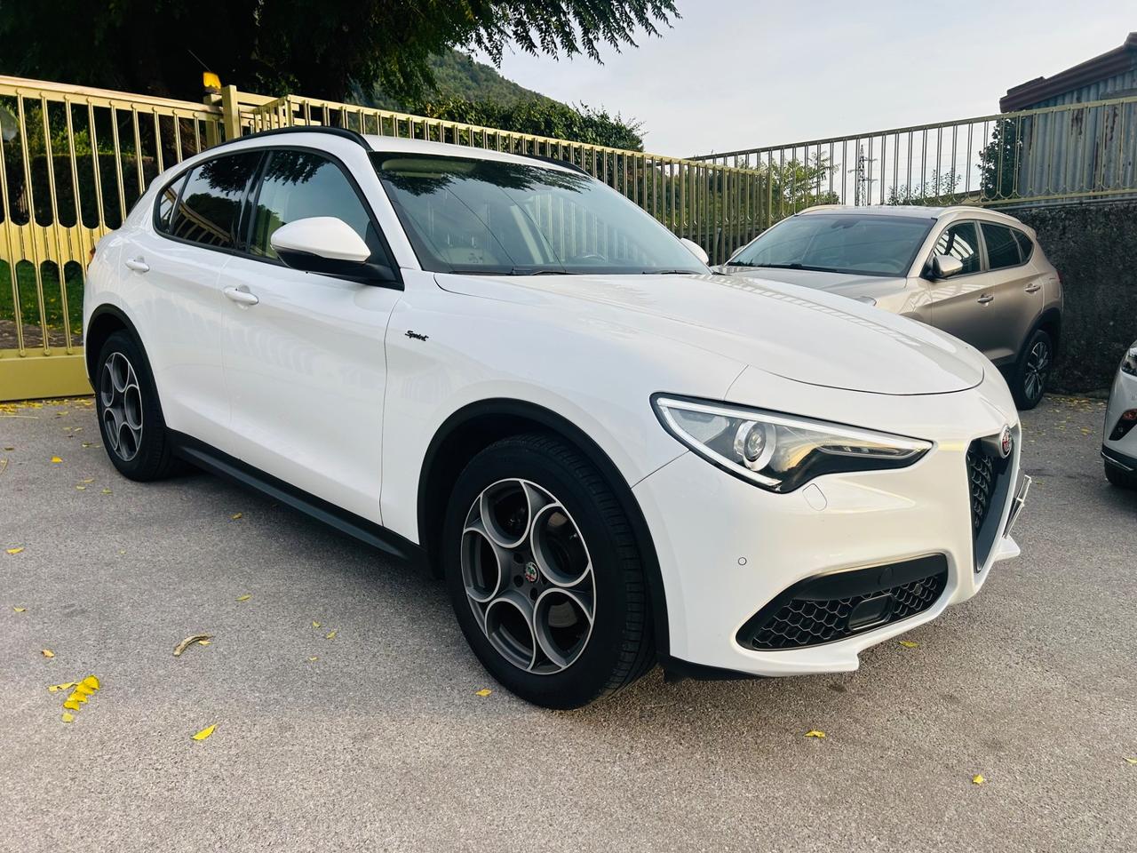 Alfa Romeo Stelvio 2.2 Turbodiesel 190 CV AT8 Q4 Sprint