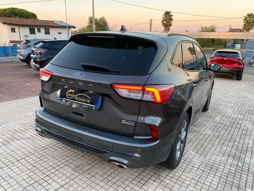 Ford Kuga 1.5 EcoBlue 120 CV 2WD ST-Line