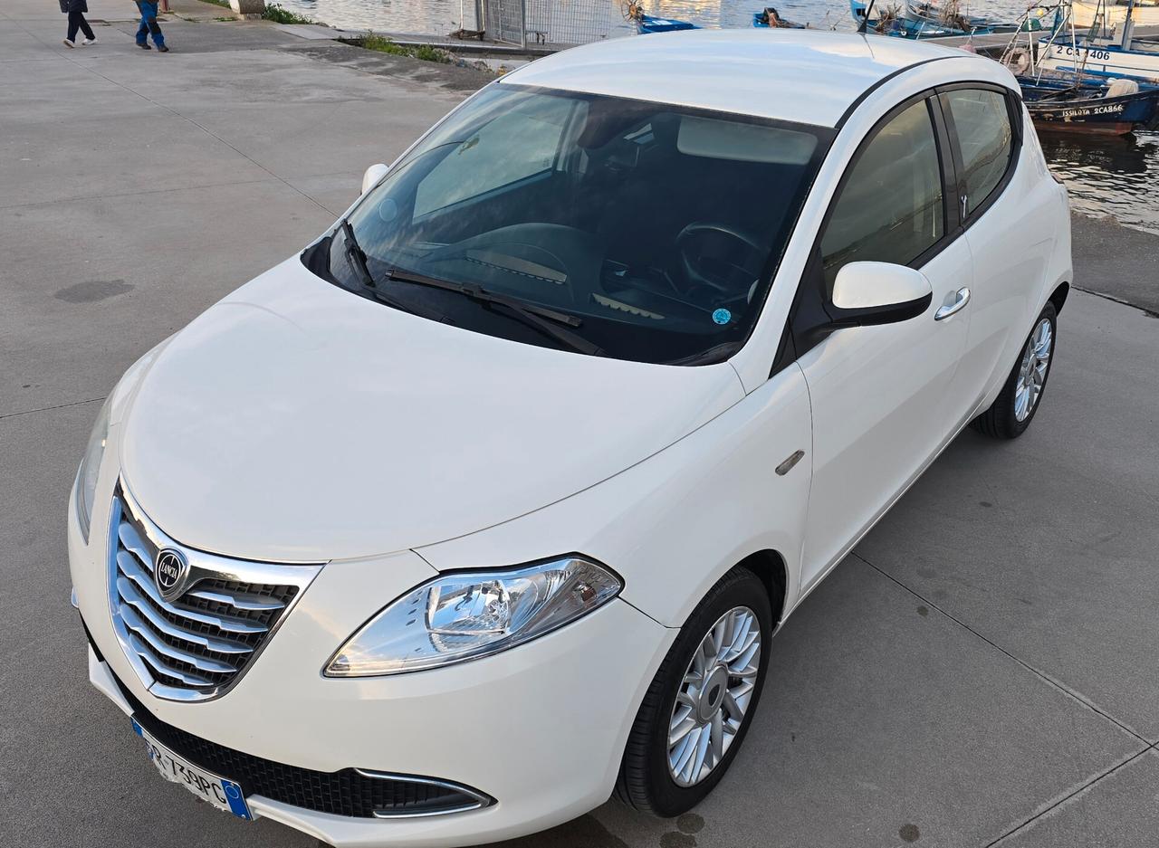 Lancia Ypsilon 1.3 MJT 16V 95 CV 5 porte S&S Platinum
