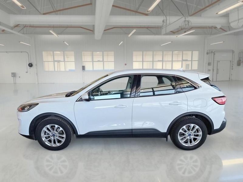 FORD KUGA 1.5 ECOBLUE 120 CV 2WD TITANIUM BUSINESS SUV